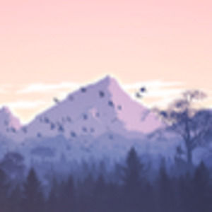 Meet your Posher, Amiee